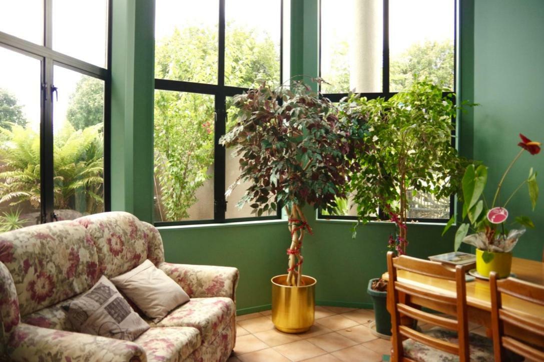 Hamilton East Homestay מראה חיצוני תמונה