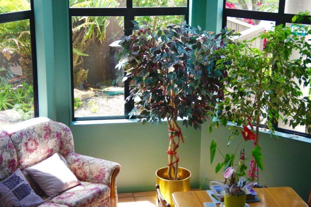 Hamilton East Homestay מראה חיצוני תמונה